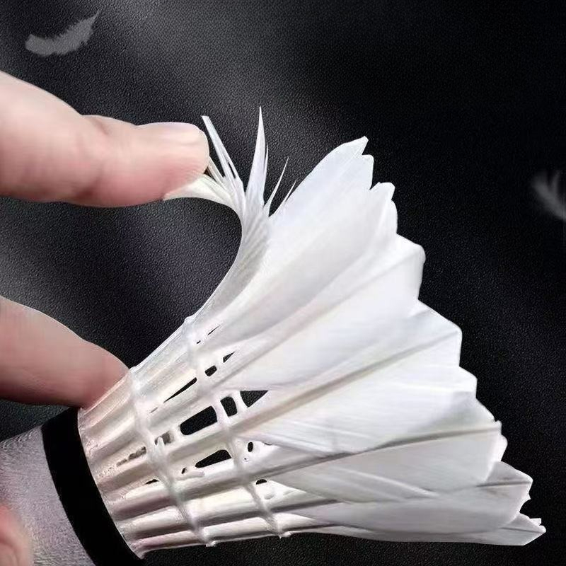 Volani da badminton in piuma d - Feather Shuttlecock recensione e prezzo