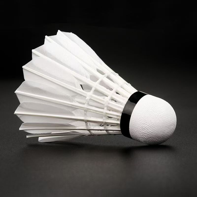 Volani da badminton in piuma d - Feather Shuttlecock recensione e prezzo