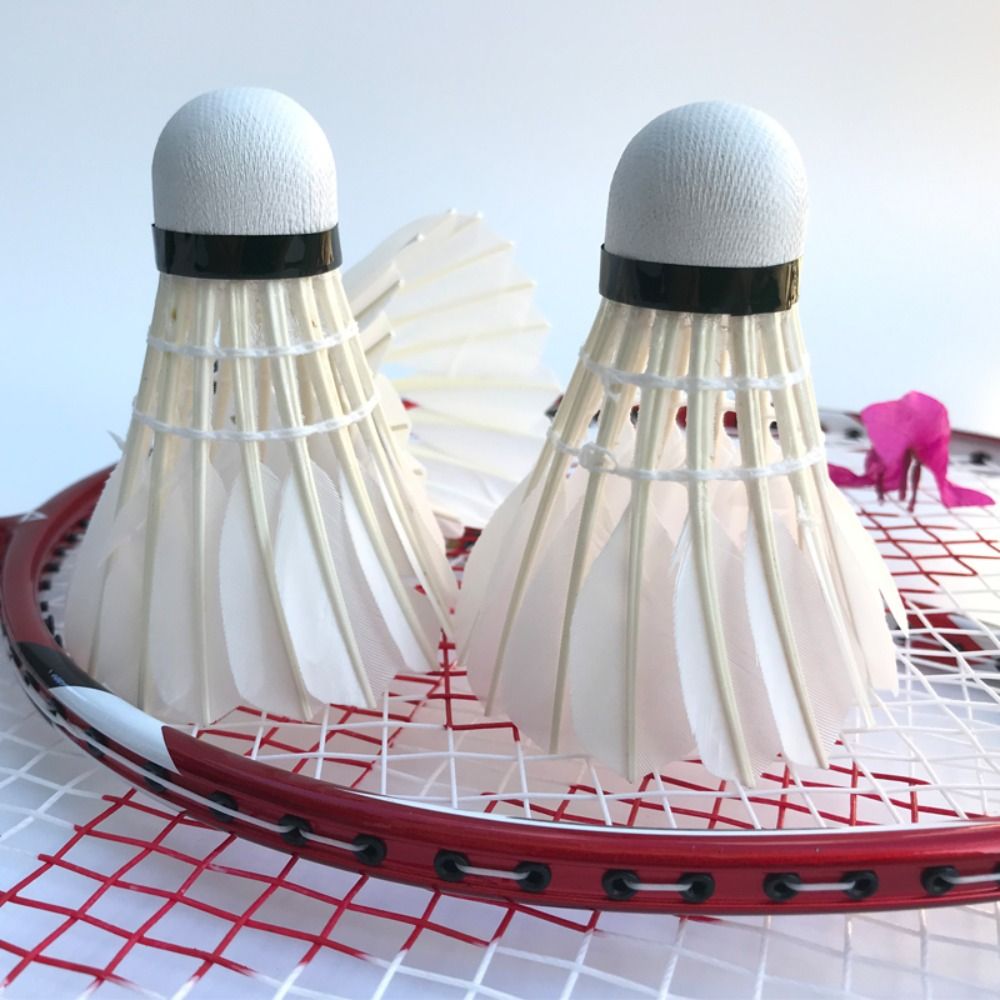 Nuovo Volano da Badminton in P - Feather Shuttlecock recensione e prezzo